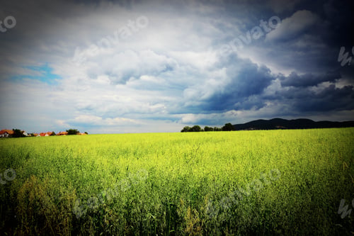 Preview: Summer Landscape Field Before Storm