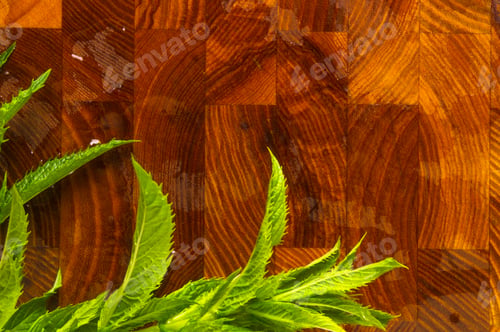 Preview: Fresh Spearmint Herb Mentha On A Wood Background
