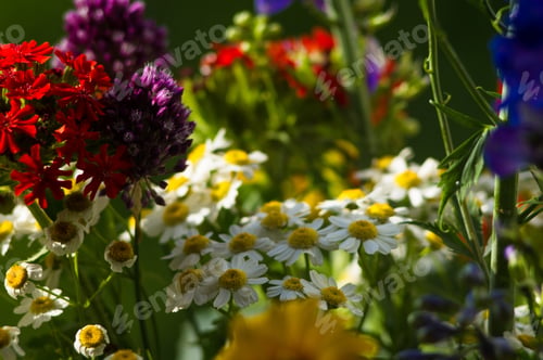 Preview: A Bouquet Of Bright Spring Flowers Of Various Types