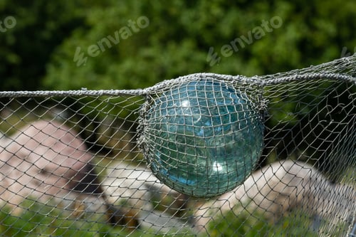 Preview: Muhu Island Coastline