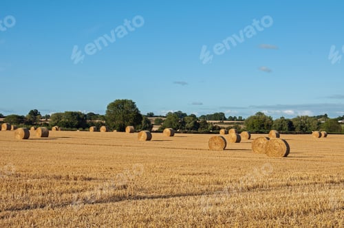 Preview: Bales Of Straw In A Field.