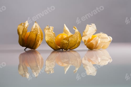 Preview: Closeup Of Physalis Peruviana Fruits With Light Grey Background And Reflexions