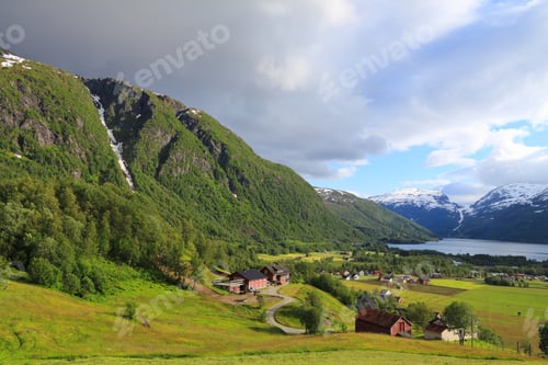 Preview: Roldal, Norway. Countryside Landscape With Lupin Flowers In Hordaland Region.