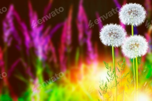 Preview: Fluffy Dandelion Flower Against The Background Of The Summer Landscape.
