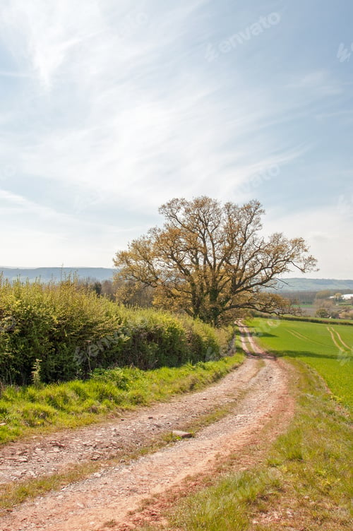 Preview: Summertime Landscape In The County Of Herefordshire, United Kingdom.