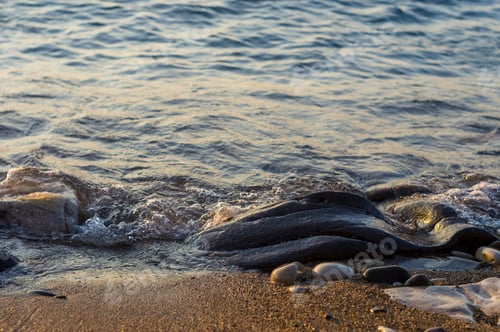 Preview: Pebble Stones On The Sea Beach, The Rolling Waves Of The Sea With Foam