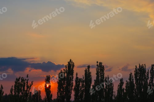 Preview: Landscape With Dramatic Light - Solar Disk, Orange Clouds And The Outline Of Trees At Sunset