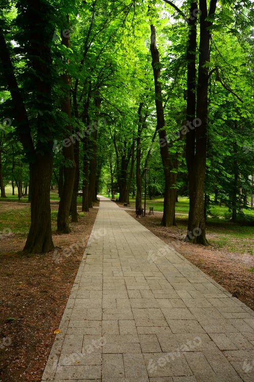 Preview: Spring Garden In The Park