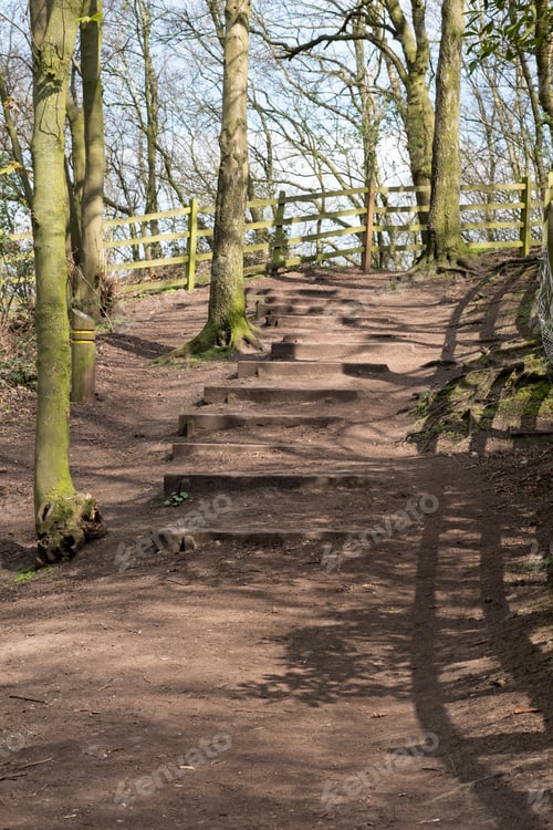 Preview: Woodland Hiking Trail Wooden Steps