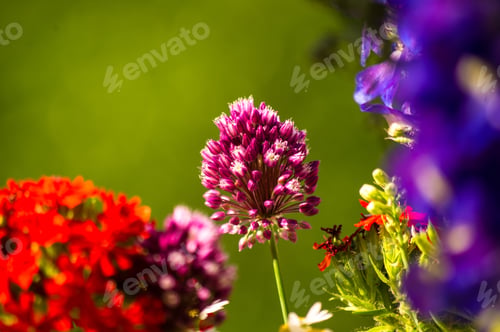 Preview: A Bouquet Of Bright Spring Flowers Of Various Types