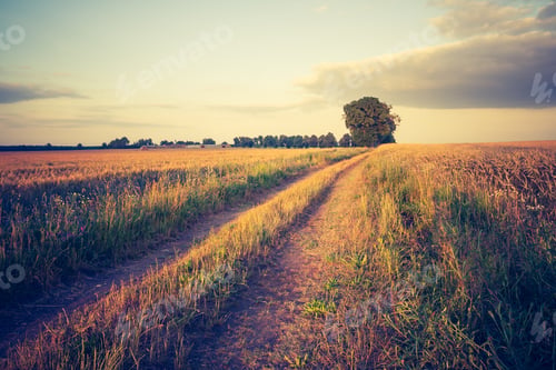 Preview: Vintage Photo Of Fields Landscape At Sunset