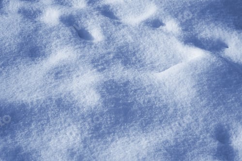 Preview: Fresh White Snow Blanketing a Winter Landscape