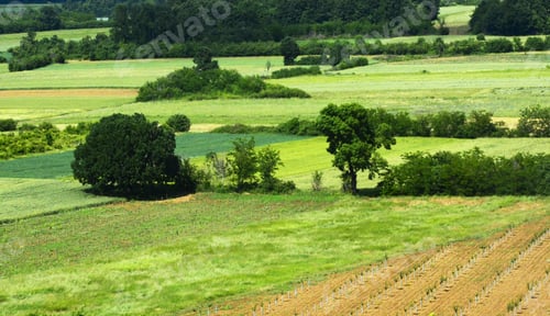 Preview: View Of Agricultural Fields