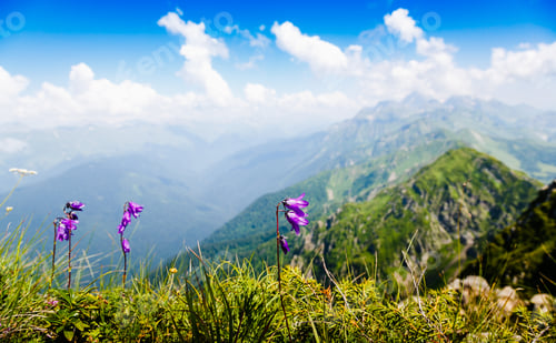 Preview: Beautiful Mountain Landscape With Alpine Meadows, Herbs And Flowers. Sky, Clouds, Mountains.