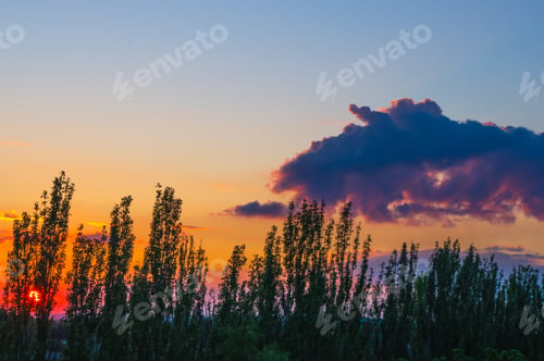 Preview: Landscape With Dramatic Light - Orange Clouds And The Outline Of Trees At Sunset
