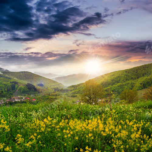 Preview: Summer Landscape. Yellow Flowers On The Meadow Hillside. Village Near Forest In Fog On The Mountain