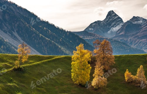 Preview: Autumn In Davos Lake, Grisons, Switzerland
