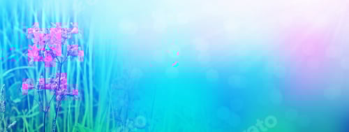 Preview: Bright Pink Flower. Blurred Image Of Grass.