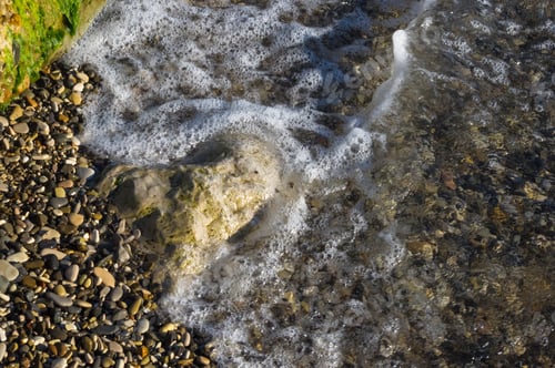 Preview: Rocky Sea Shore With With Seaweed, Transparent Waves With Foam, On A Warm Summer Day