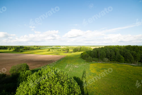 Preview: Country Roads In Perspective From Above In Summer