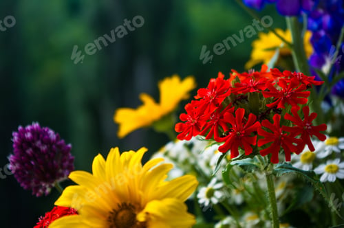 Preview: A Colorful Bouquet Of Bright Spring Flowers Of Various Types, Close-Up