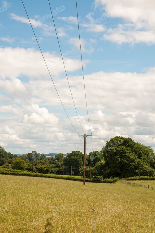 Preview: Summer Trees, Field And Electric Pole In The Countryside Of The United Kingdom.