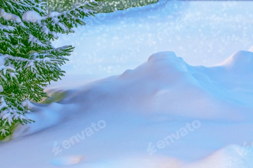 Preview: Frozen Winter Forest With Snow Covered Trees. Coniferous Branch.