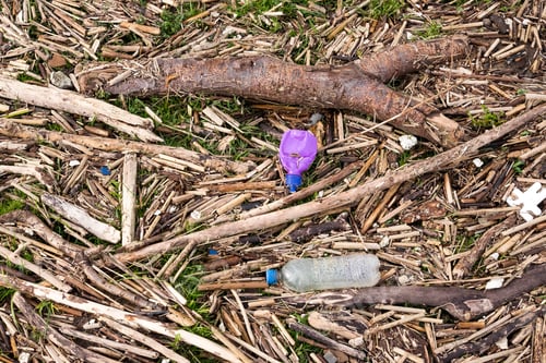 Preview: Flood Debris Left Behind At The High Water Mark