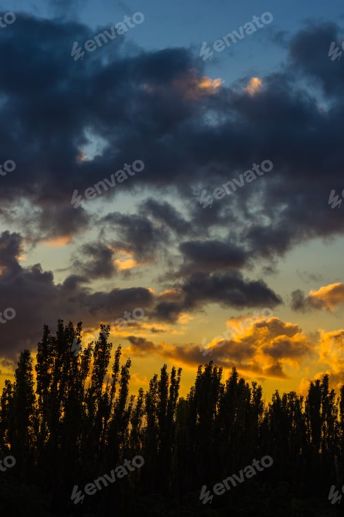 Preview: Landscape With Dramatic Light - Orange Clouds And The Outline Of Trees At Sunset