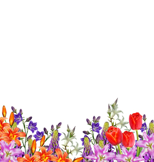 Vista previa: Flowers Bells Isolated On White Background. Lupine