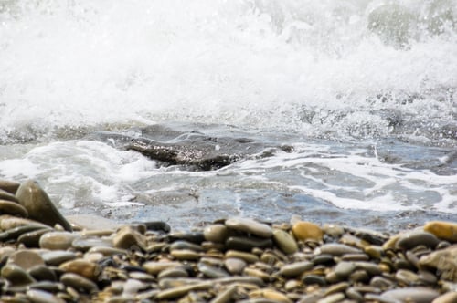 Preview: Pebble Stones On The Sea Beach, The Rolling Waves Of The Sea With Foam