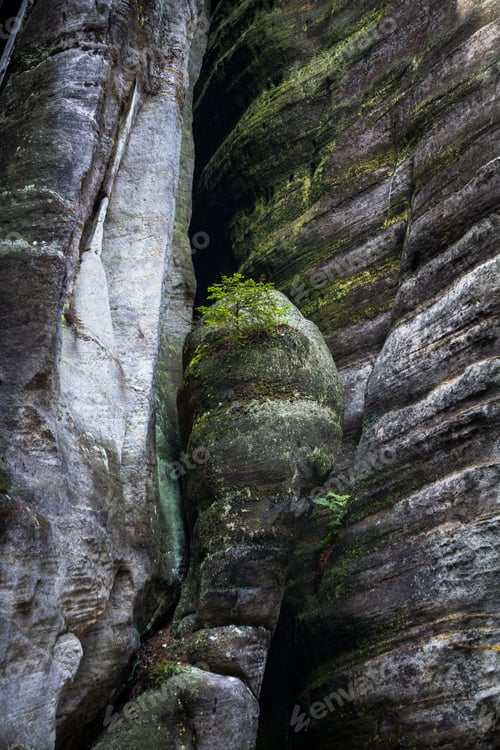 Preview: National Park Of Adrspach-Teplice Rocks. Rock Town. Czech Republic