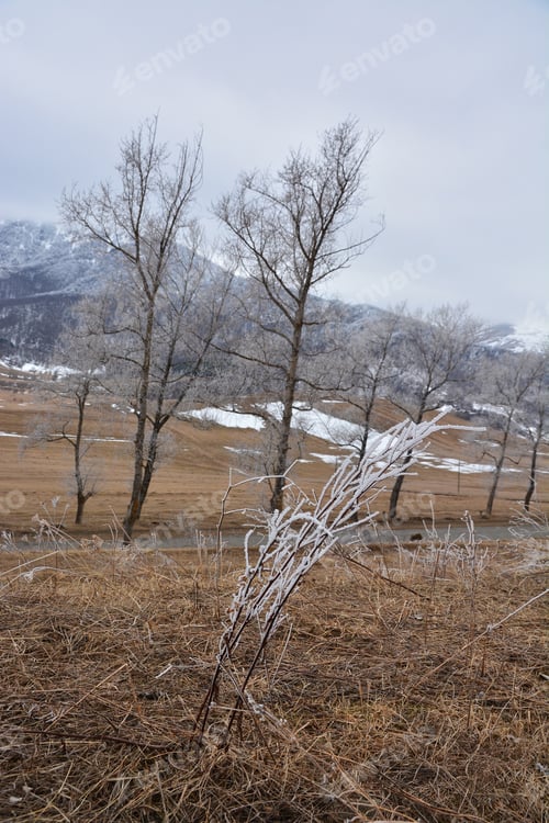 Preview: Winter Landscape