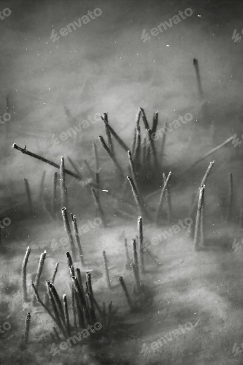 Preview: Underwater Sticks