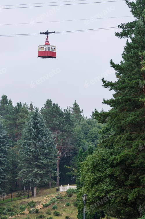 Preview: View Of Trees In A Park In The City Of Kislovodsk