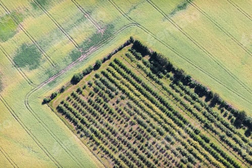 Preview: Aerial View Over The Rural Fields