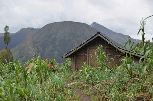Preview: Wooden Hut In Front Of An Extinct Volcano In Java