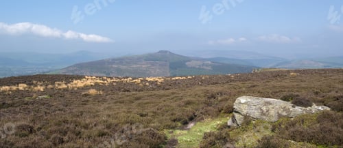 Preview: Bamford Edge Heather Moorland Landscape
