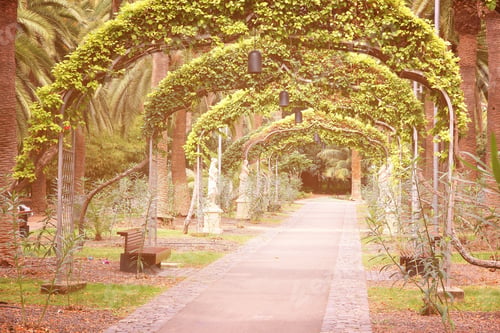 Preview: Santa Cruz De Tenerife, Spain - Park Area, Garcia Sanabria Park. Retro Filtered Color Style.