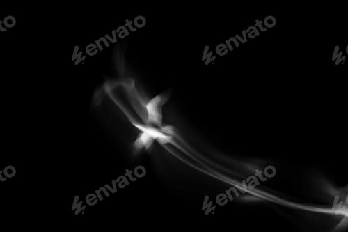 Preview: Abstract Bird. Flying Bird. No Effect. Slow Shutter Speed Photography. Black Sky Background.