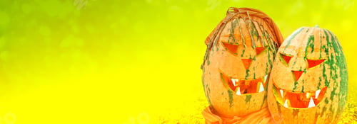 Preview: Autumn Background Of The Fruits Of A Bright Orange Pumpkin. Halloween