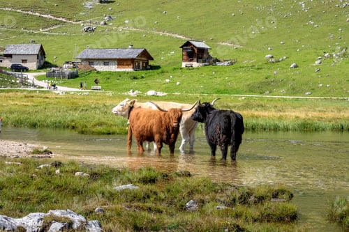 Preview: The Natural Park Of Fanes Sennes Braies In The South Tyrol, Italy.