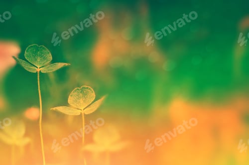 Preview: Green Clover Leaves On A Background Summer Landscape. St.Patrick 'S Day.