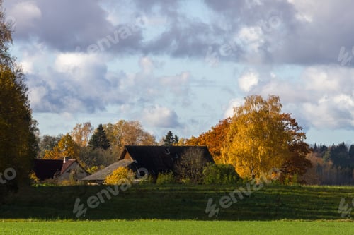 Preview: Processed Cereal Fields In Colorful Autumn