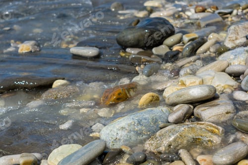 Preview: Pebble Stones On The Sea Beach, The Rolling Waves Of The Sea With Foam