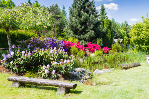Preview: Bielsko Biala, Poland - May 16: Well Kept Garden With Azalea And Rhododendrons And Old Wood As