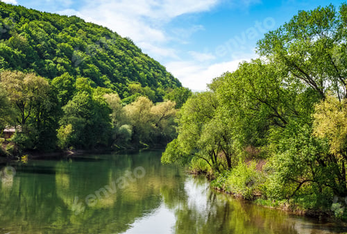 Preview: River Flows Among Of A Green Forest At The Foot Of The Mountain. Picturesque Nature Of Rural Area