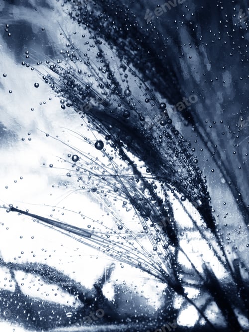 Preview: Colorful Underwater Dandelion Seeds With Bubbles