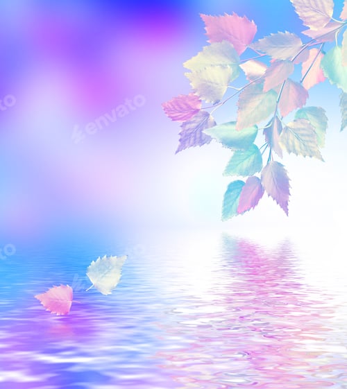 Preview: Autumn Landscape. Beautiful Leaves. Colorful Trees