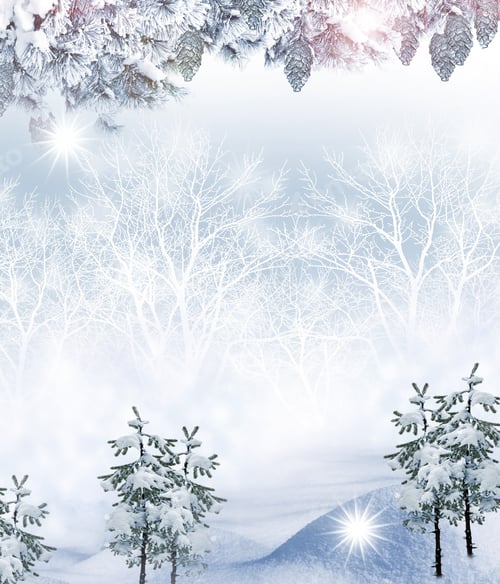 Preview: Winter. Tree